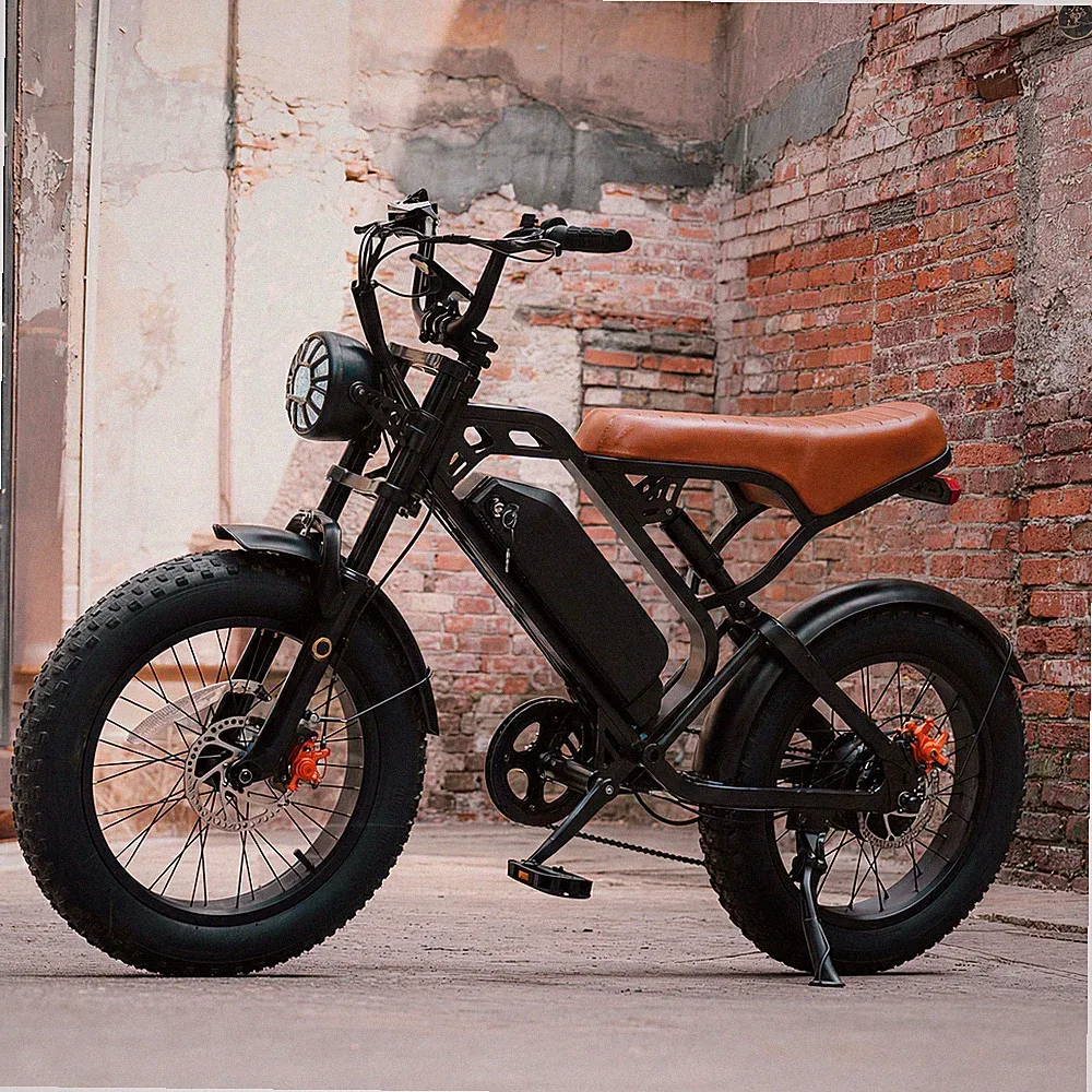 Alloy Steel Fat Tire Bike