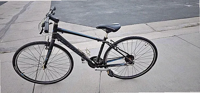 professional bicycle